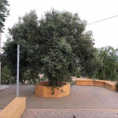 Mardi View Alloggio - Elea