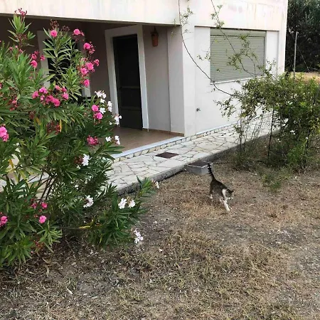 Holiday home Mardi View Alloggio - Elea
